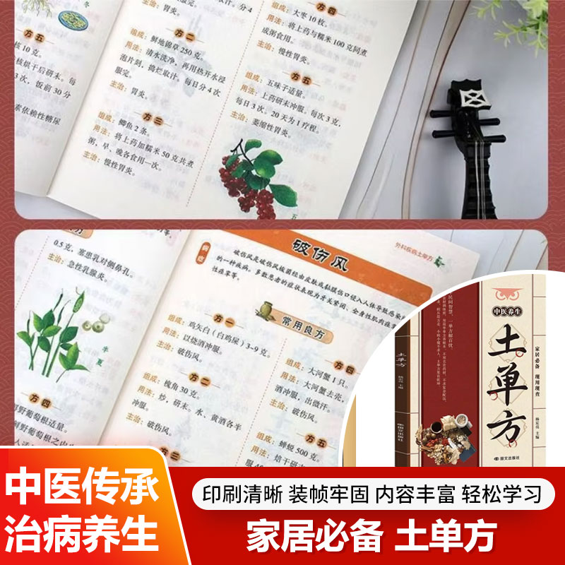 Wellness Herbal Medicine - Traditional Chinese Medicine Home Remedies Practical