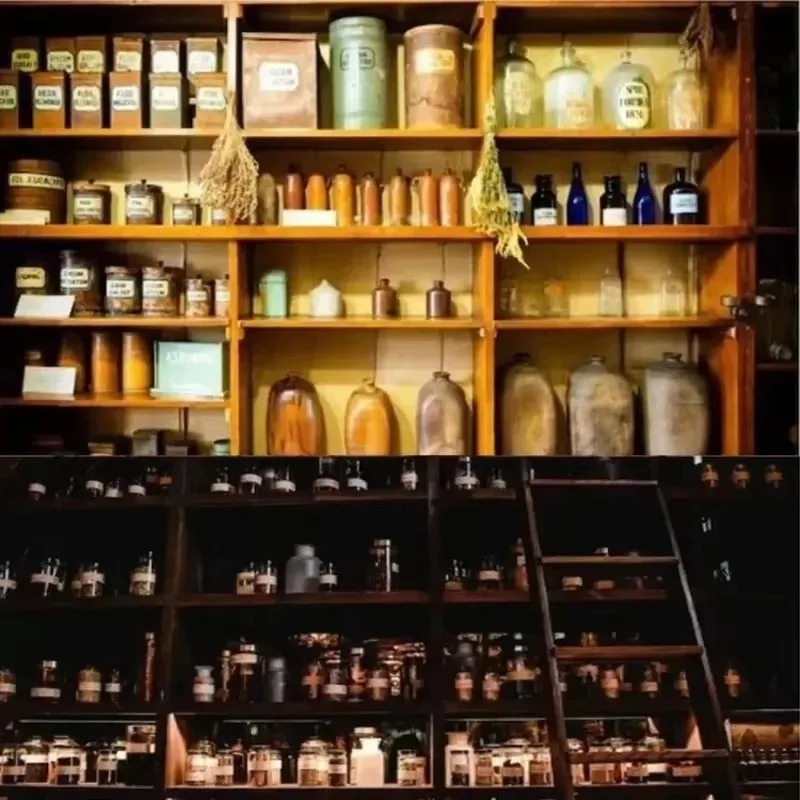 The Holistic Home Apothecary B - Herbal Wellness Recipes ulasan dan harga